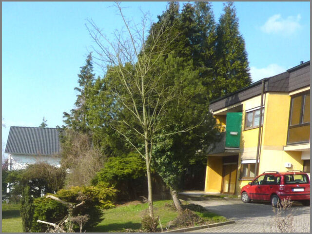 3 ZKB Wohnung Östringen