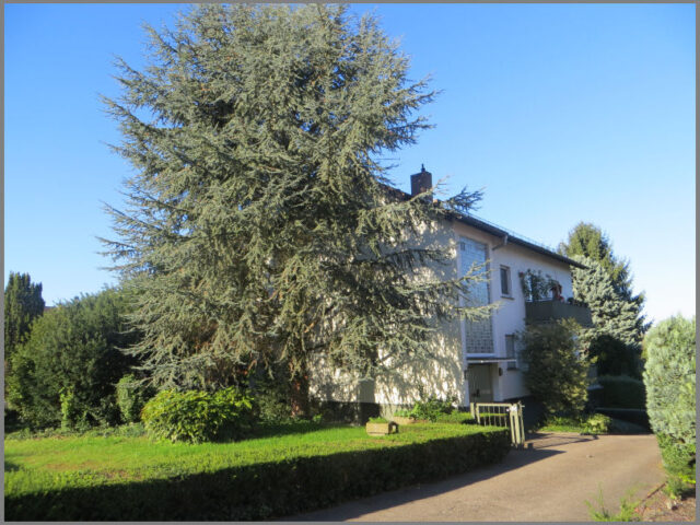 3-Familienhaus Bruchsal-Untergrombach