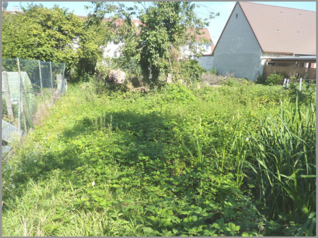 Baugrundstück Graben-Neudorf