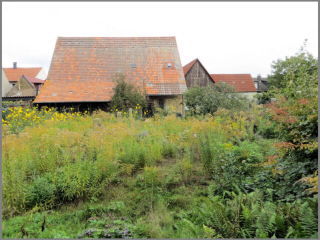 Baugrundstück Dettenheim-Rußheim